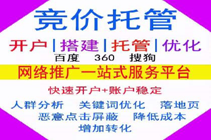大型企业SEM外包实战案例